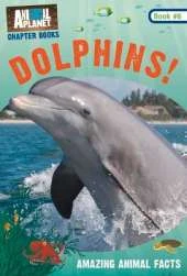 Dolphins!: Book #6