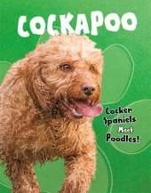 Cockapoo: Cocker Spaniels Meet Poodles!