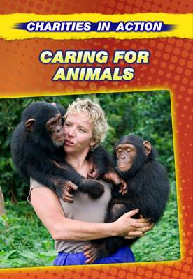 Charities in Action Pack A of 6