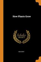 How Plants Grow