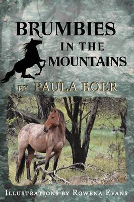 Brumbies in the Mountains: Book 5