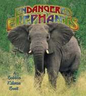 Endangered Elephants