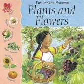 Plants And Flowers