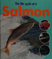 Learning About Life Cycles: The Life Of A Salmon
