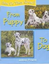 How Do They Grow: Puppy To Dog