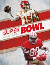 Super Bowl All-Time Greats