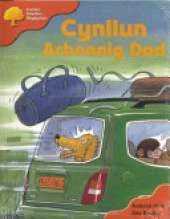 Cynllun Arbennig Dad