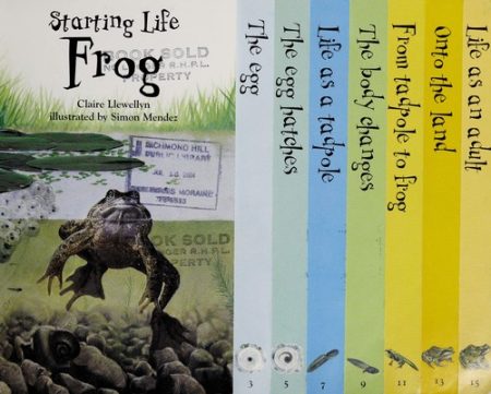 Starting Life: Frogs