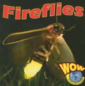 Fireflies