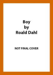 Boy: Tales of Childhood
