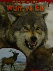 Wolf vs Elk