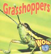 Grasshoppers