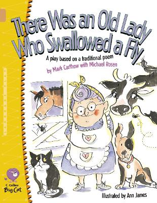 There Was an Old Lady Who Swallowed a Fly: Band 12/Copper