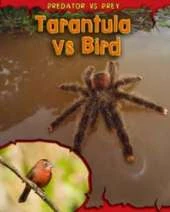 Predator Vs Prey: Pack B