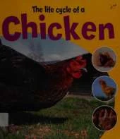 Learning About Life Cycles: The Life Cycle of A Chicken