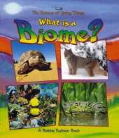 What is a Biome?