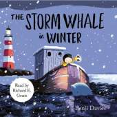 The Storm Whale in Winter