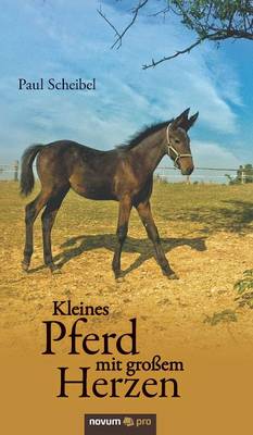 Kleines Pferd Mit Grossem Herzen