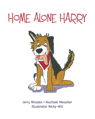 Home Alone Harry