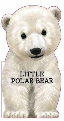 Little Polar Bear