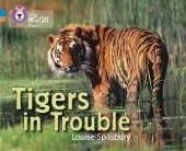 Tigers in Trouble: Band 04 Blue/Band 12 Copper