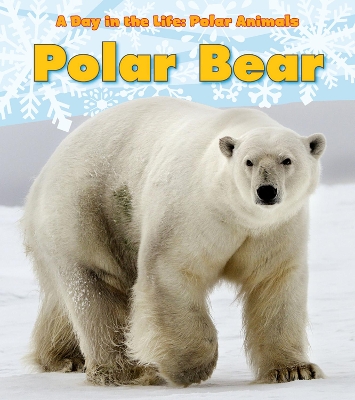 Polar Bear