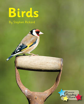 Birds (Pack 6)