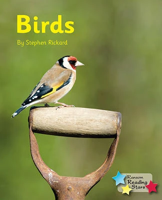 Birds (Pack 6)