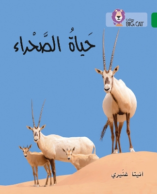 The Life of the Desert: Level 15