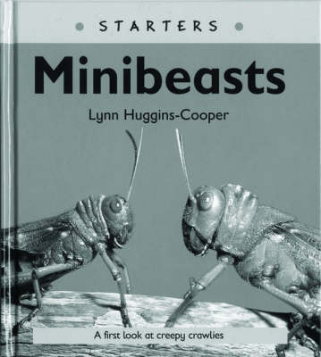 Read Write Inc. Comprehension: Module 24: Children's Books: Mini Beasts Pack of 5 books