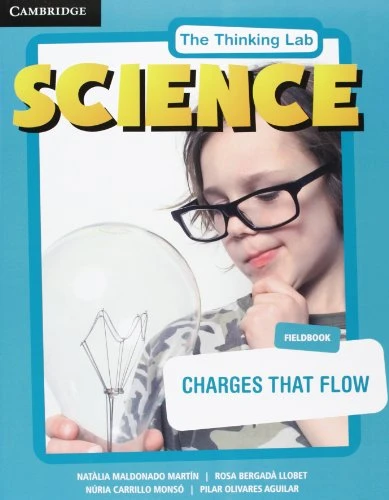 Charges that Flow Fieldbook Pack (Fieldbook and Online Activities)