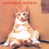 Exploring Kittens