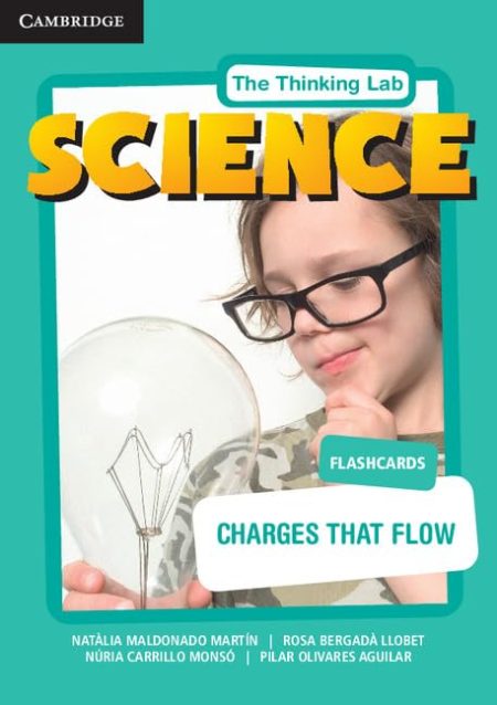 Charges that Flow Flashcards