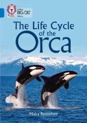 The Life Cycle of the Orca: Band 16/Sapphire