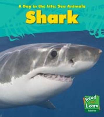 Shark