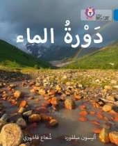 The Water Cycle: Level 16