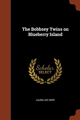 The Bobbsey Twins on Blueberry Island
