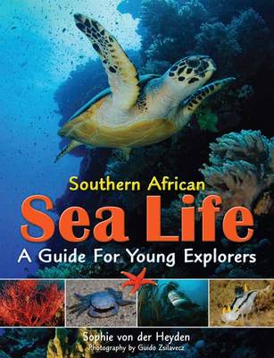 Southern African sea life: A guide for young explorers