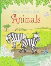First Colouring Book Animals