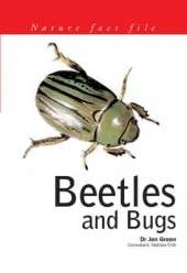 Beetles and Bugs