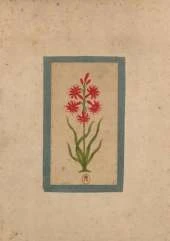 Carnet Blanc, Fleur 1, Miniature Indienne 18e Siecle