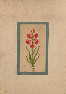 Carnet Blanc, Fleur 1, Miniature Indienne 18e Siecle