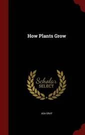 How Plants Grow...