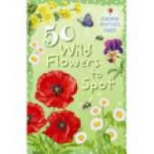 50 Wild Flowers to Spot