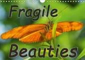 Fragile Beauties - Exotic Butterflies 2017: Spellbinding Photos of Various Exotic Butterflies in Their Natural Habitat.
