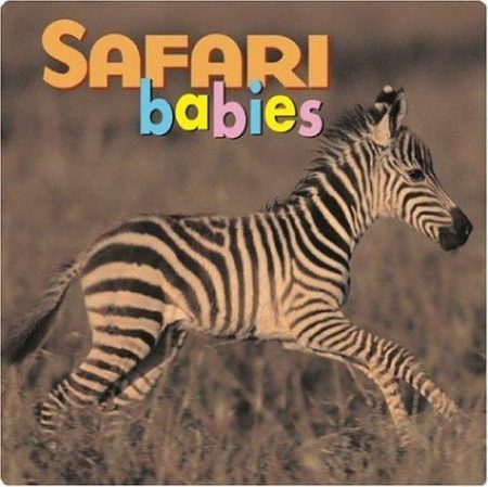 Safari Babies BD