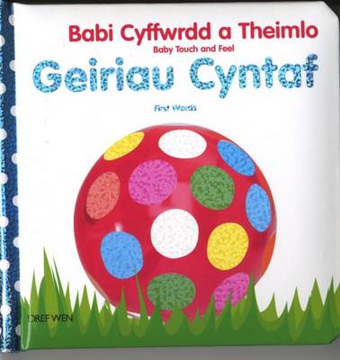 Geiriau Cyntaf/First Words