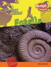 Fossils