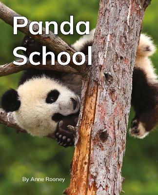 Panda School: Phonics Phase 5