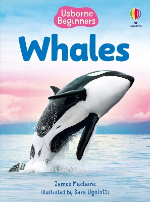 Beginners Whales